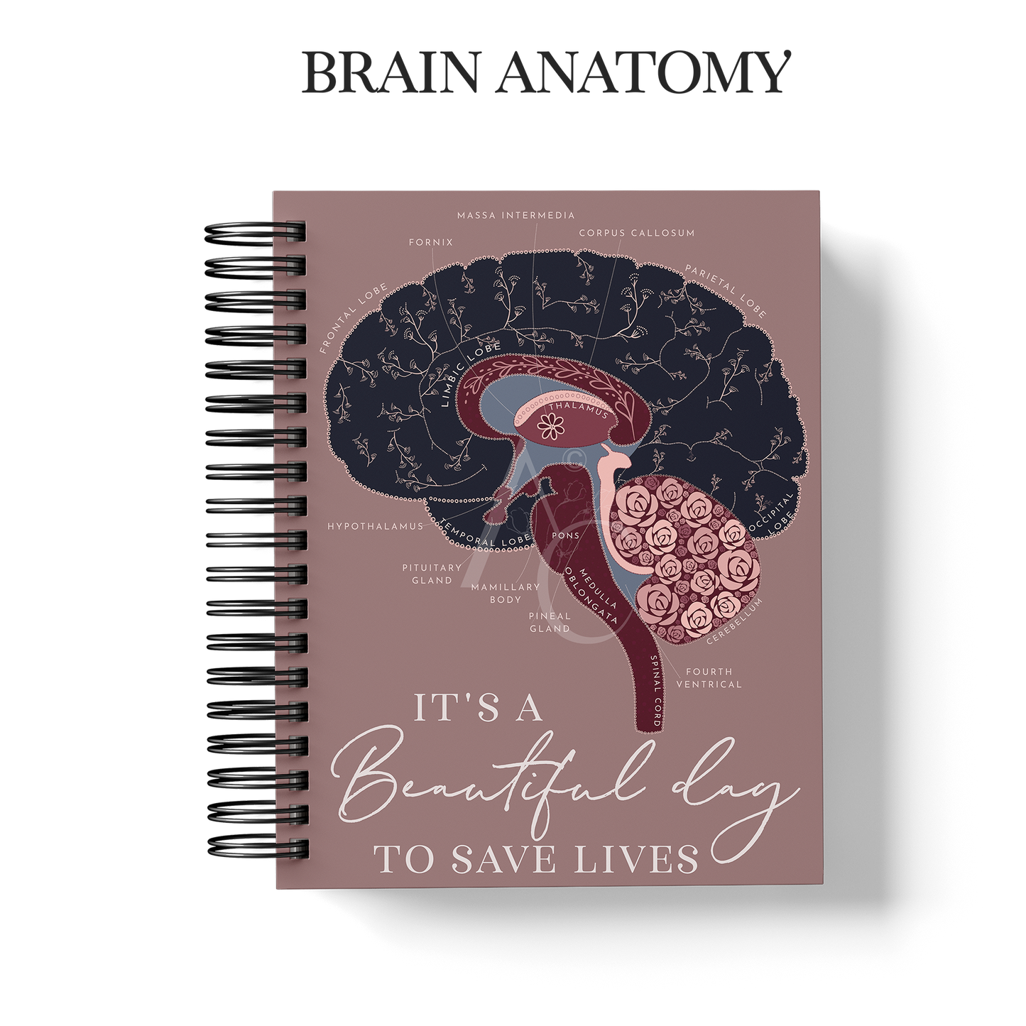 Year Planner (Custom Monthly and Daily inserts)