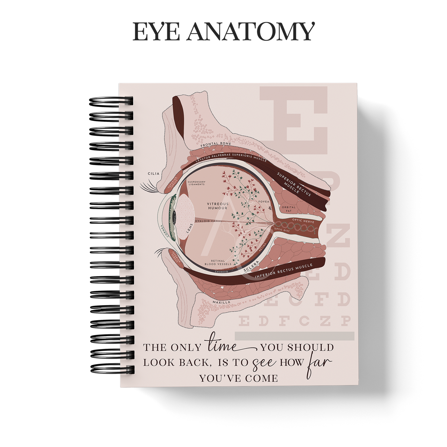 Year Planner (Custom Monthly and Daily inserts)