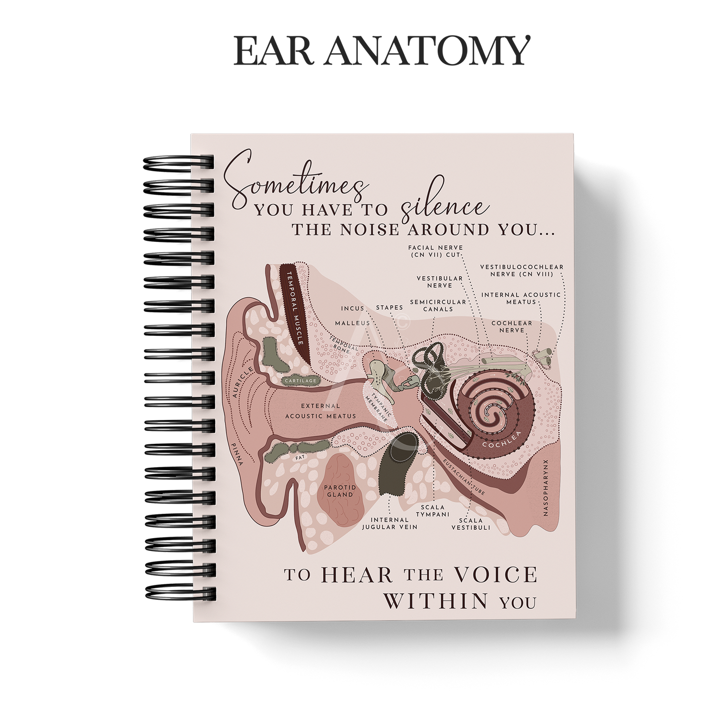 Year Planner (Custom Monthly and Daily inserts)