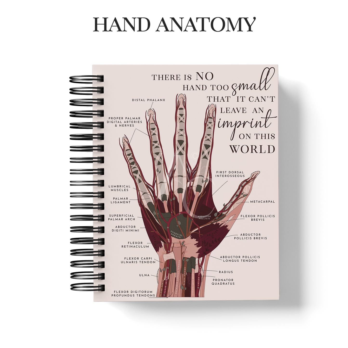 Year Planner (Custom Monthly and Daily inserts)
