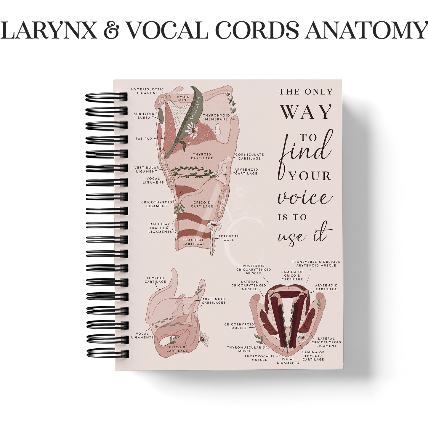 Year Planner (Custom Monthly and Daily inserts)
