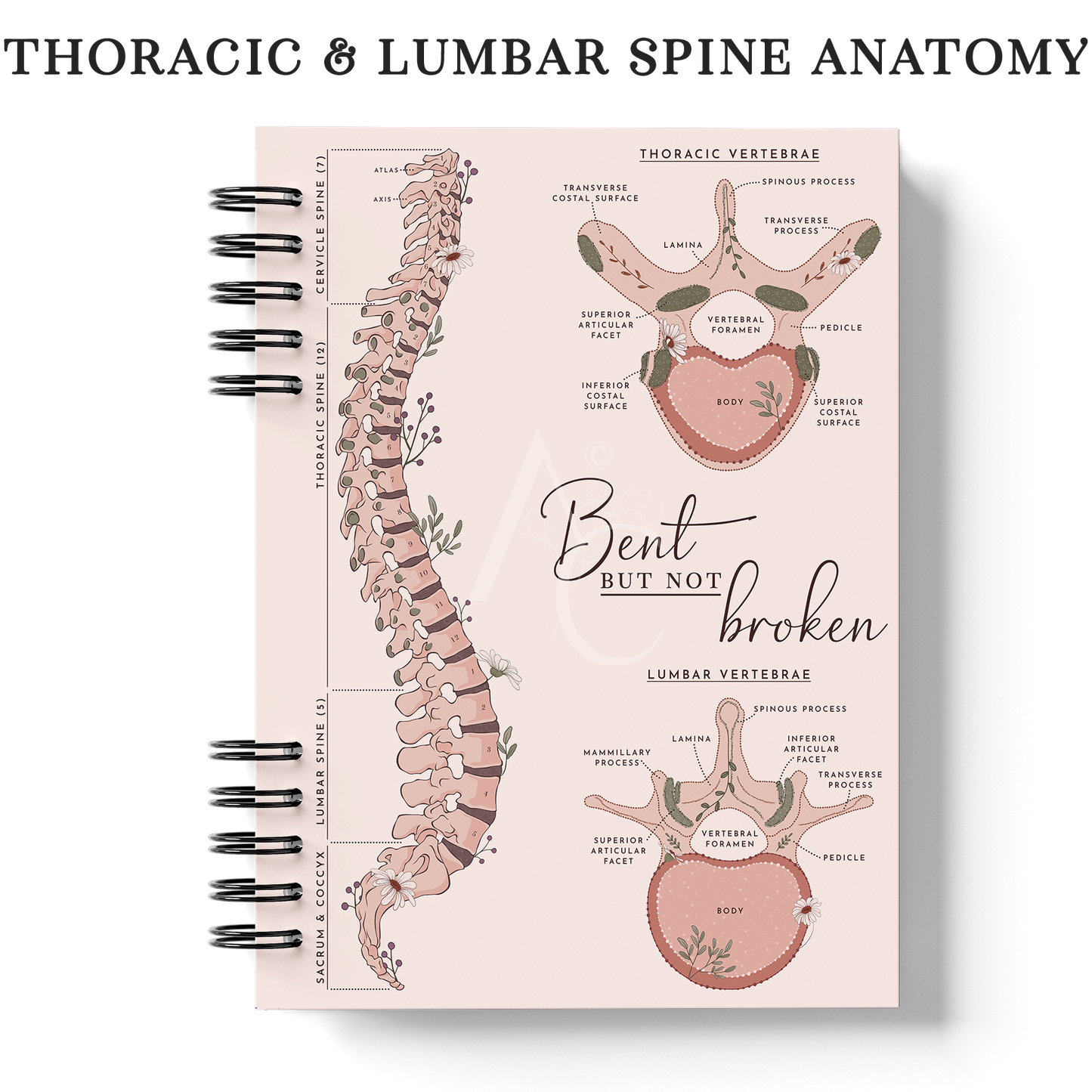 Hardcover Notebook - A4