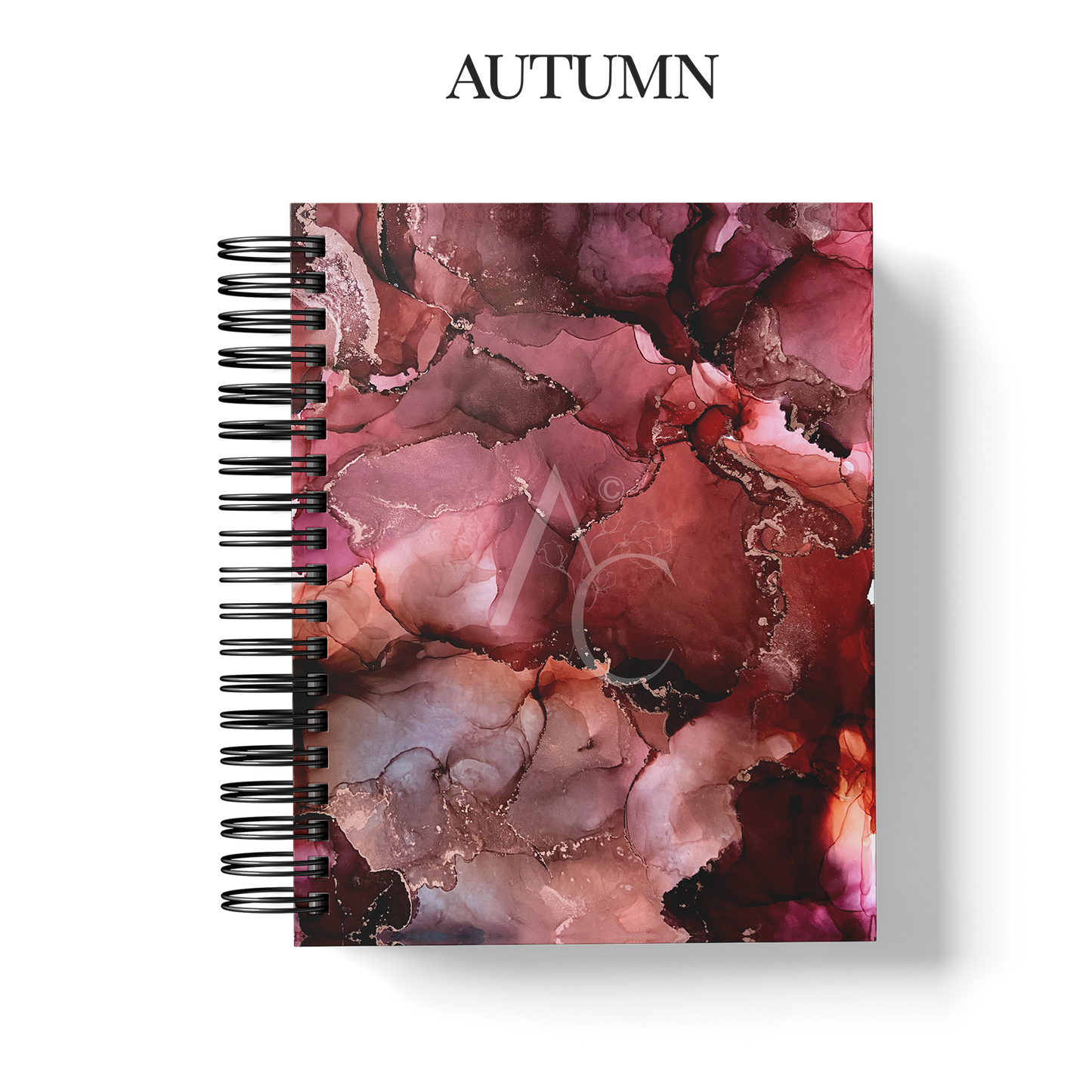 Year Planner (Custom Monthly and Daily inserts)