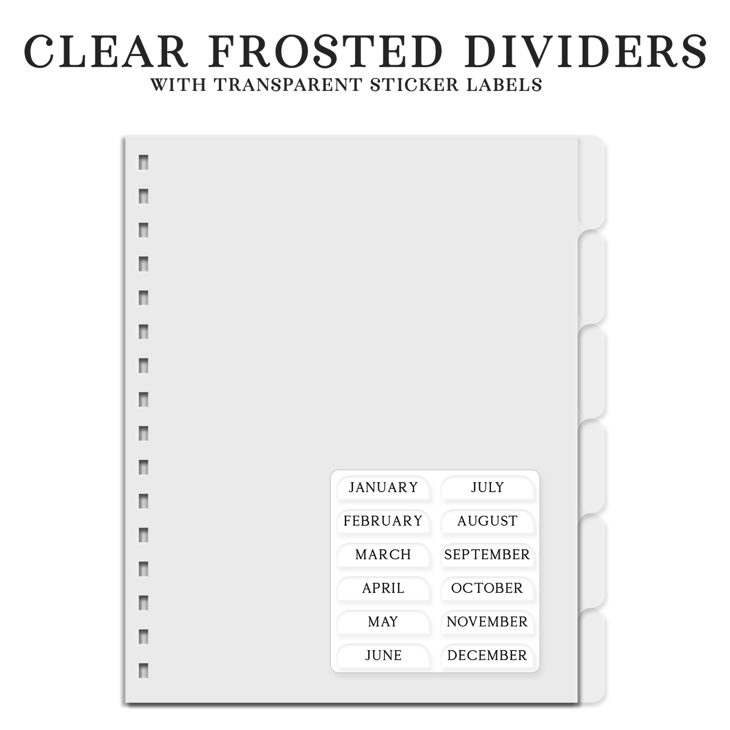 6-Month Planner (Custom Monthly, Weekly and Daily inserts)