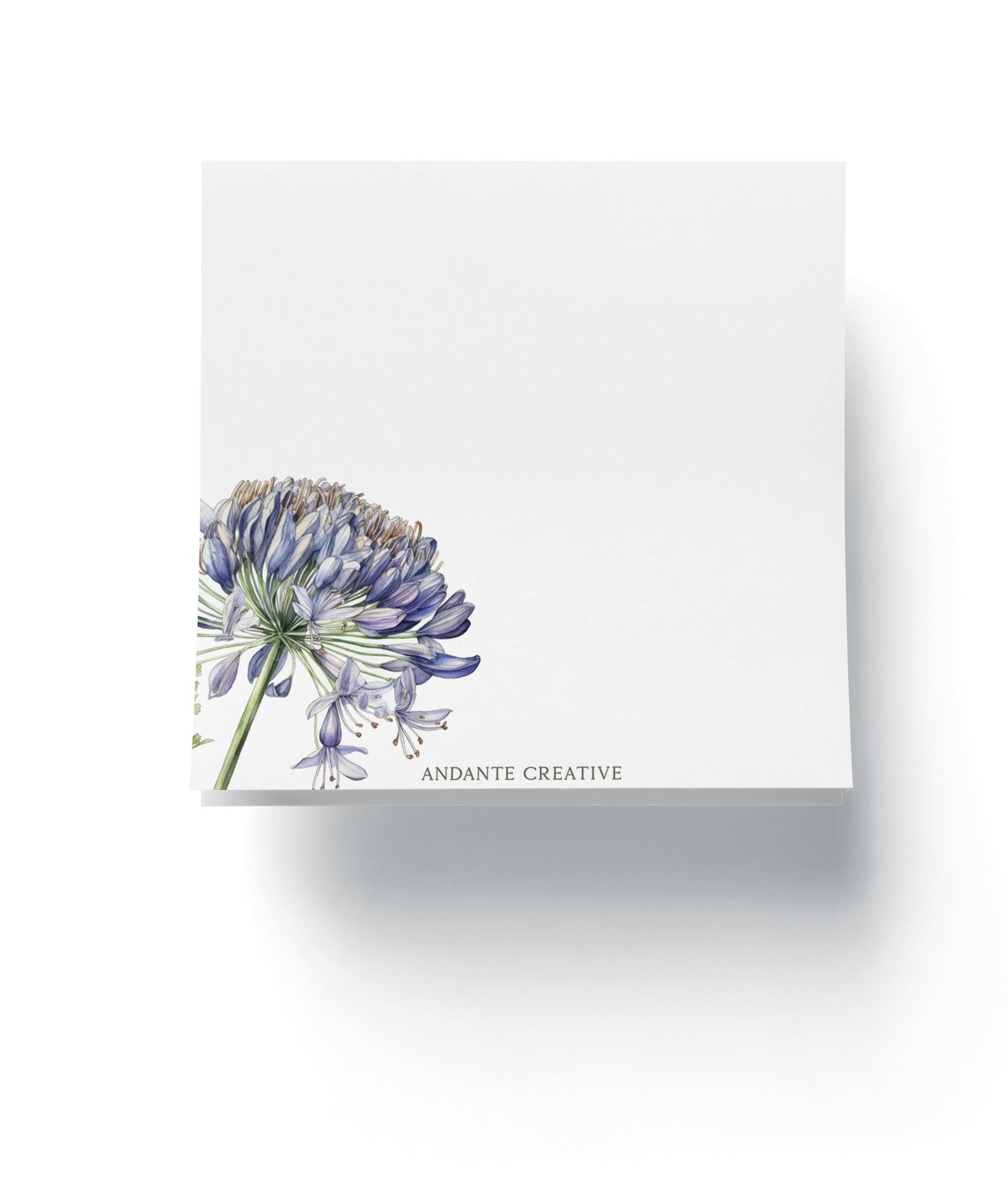 Agapanthus Notepad (Mix)