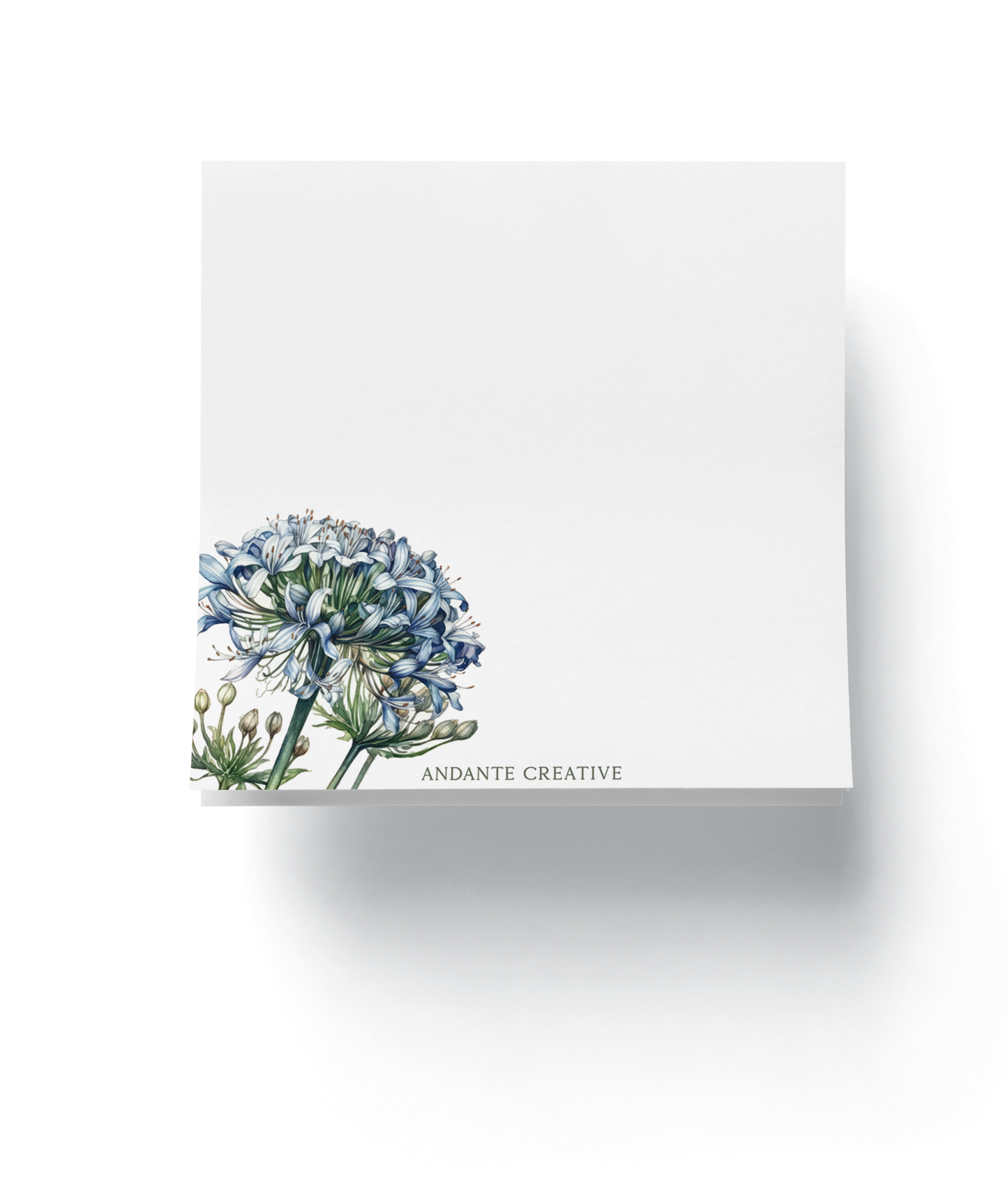 Agapanthus Notepad (Mix)