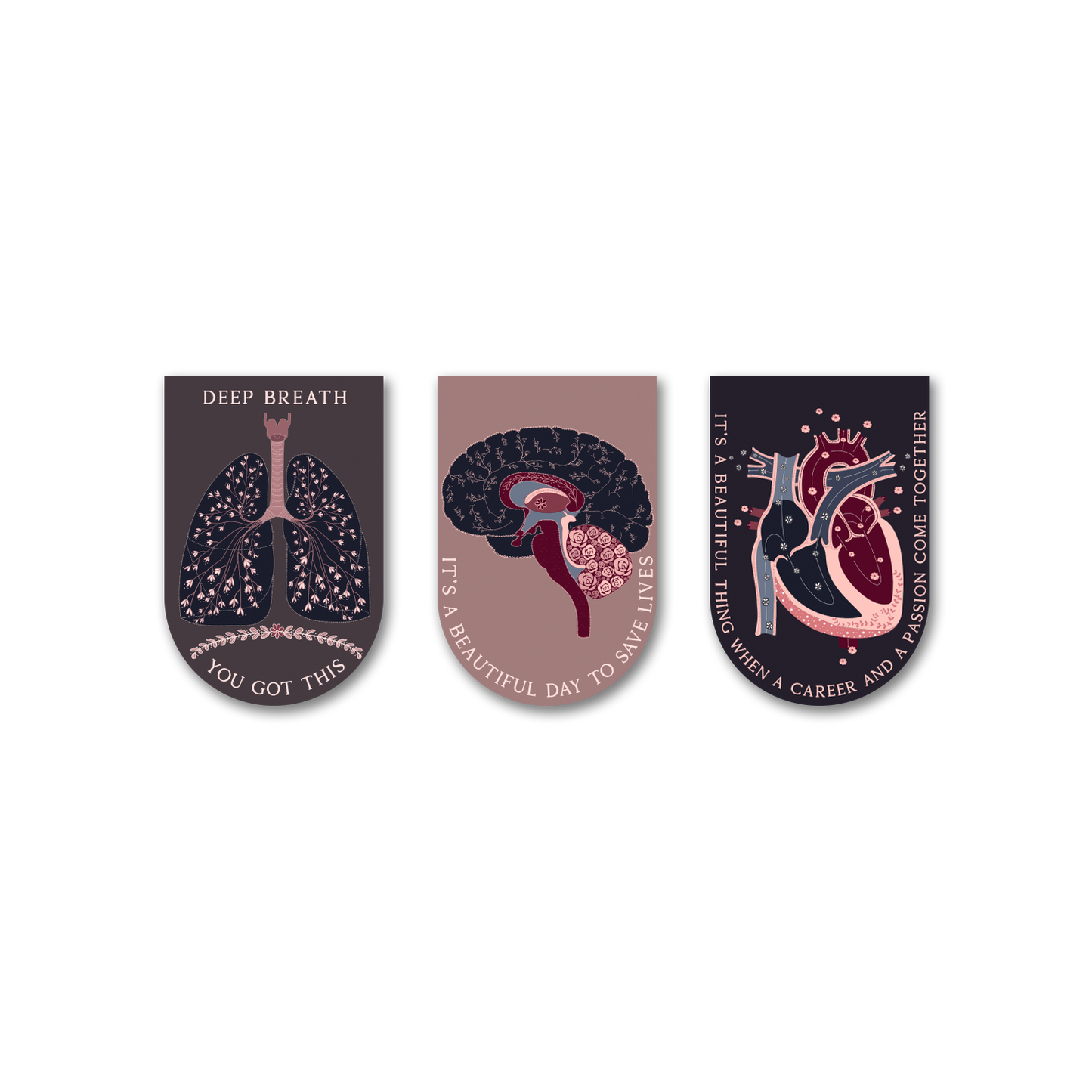 Anatomy Original - Bookmark Magnets
