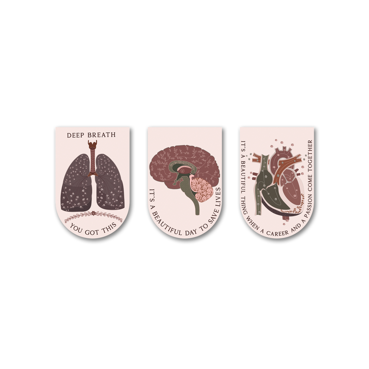 Anatomy Neutral - Bookmark Magnets