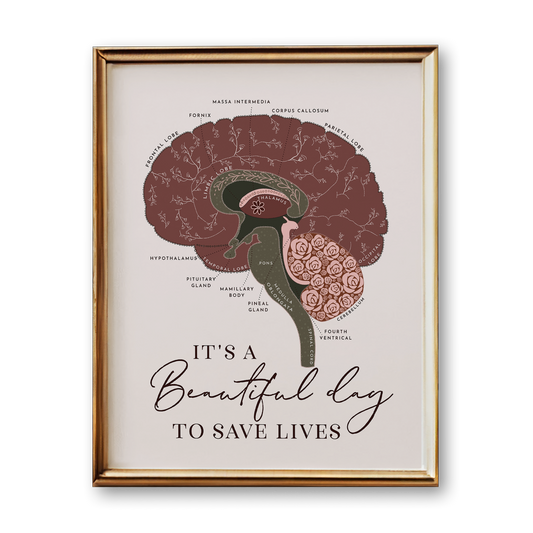 Brain Anatomy Art Print (Neutral Style)