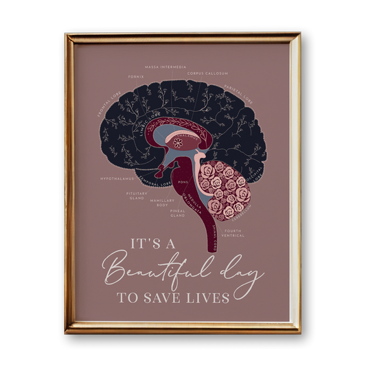 Brain Anatomy Art Print (Original Style)