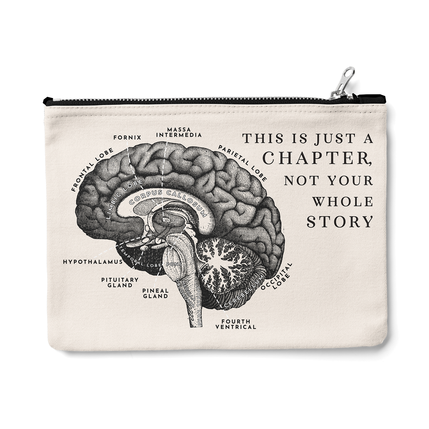 Brain Anatomy Zipper Pouch (Vintage)