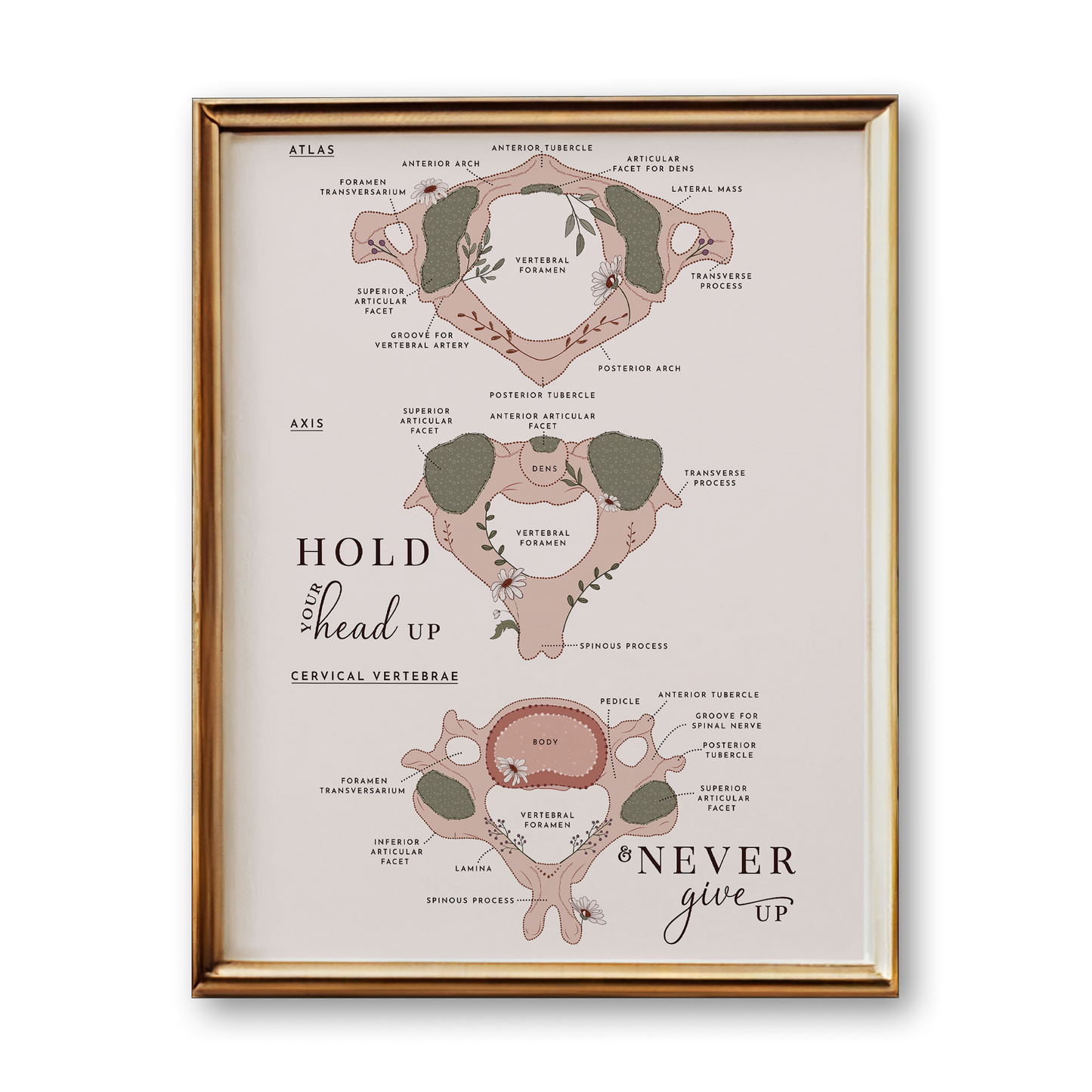 Cervical Spine Anatomy Art Print (Neutral Style)