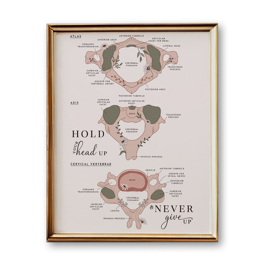 Cervical Spine Anatomy Art Print (Neutral Style)