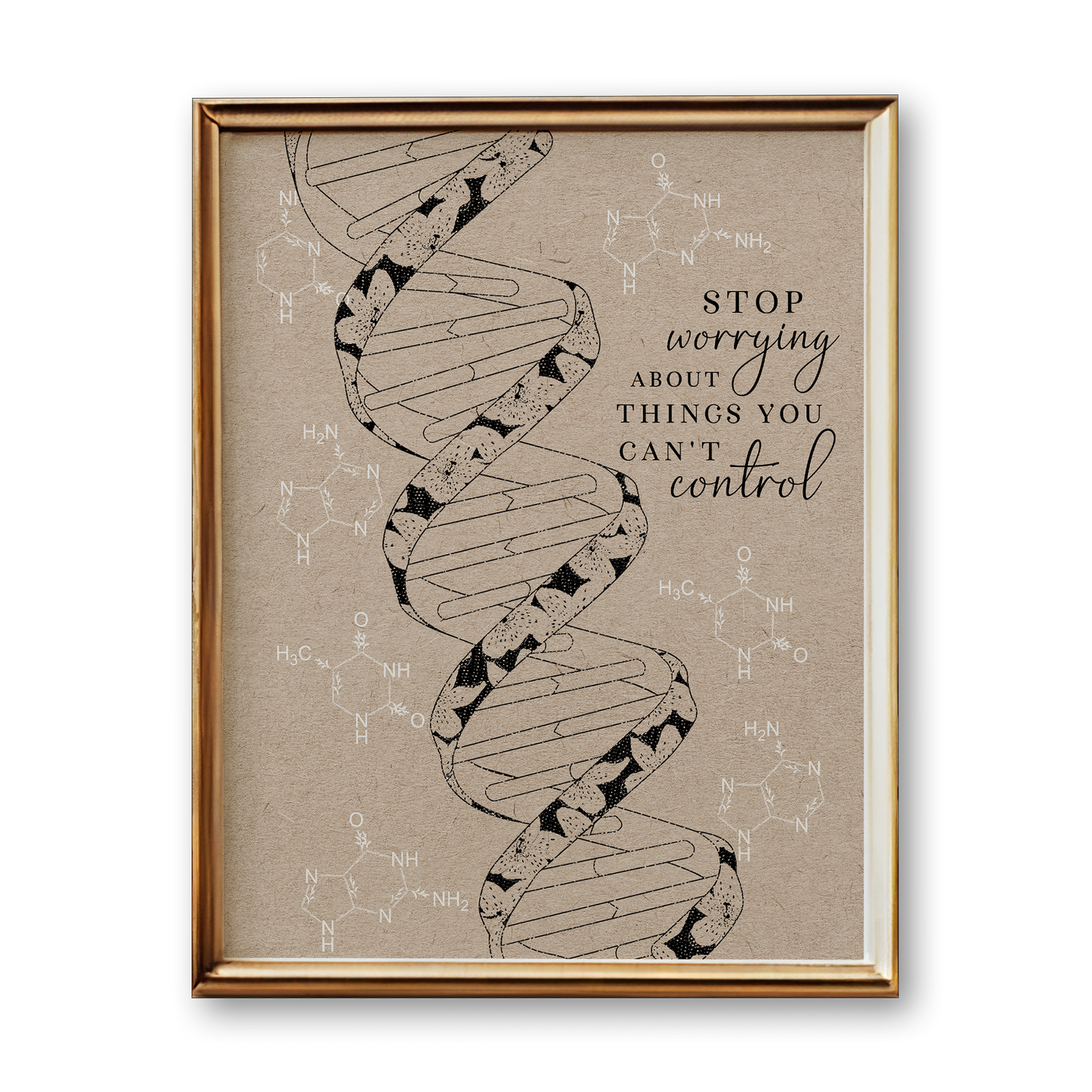 DNA Anatomy Art Print (Vintage Style)