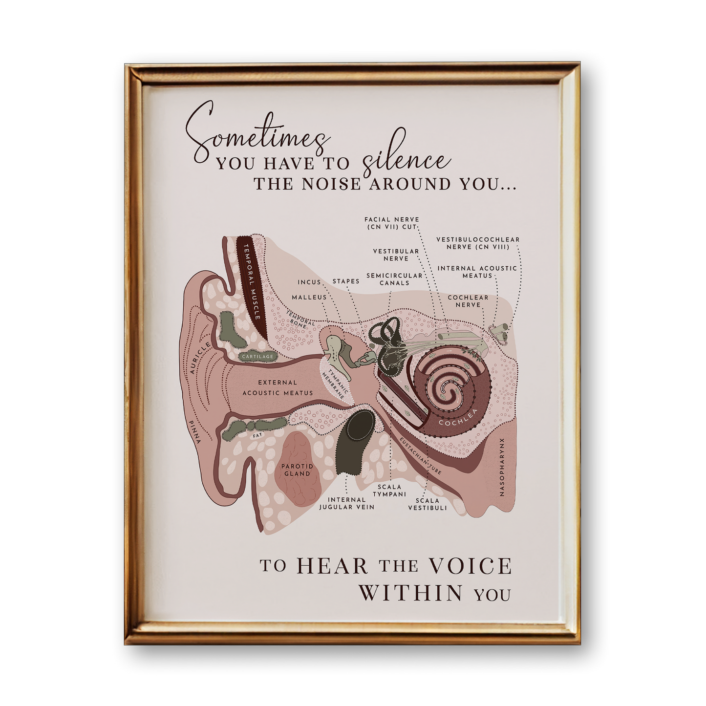 Ear Anatomy Art Print (Neutral Style)