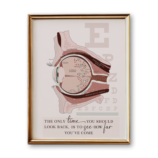 Eye Anatomy Art Print (Neutral Style)