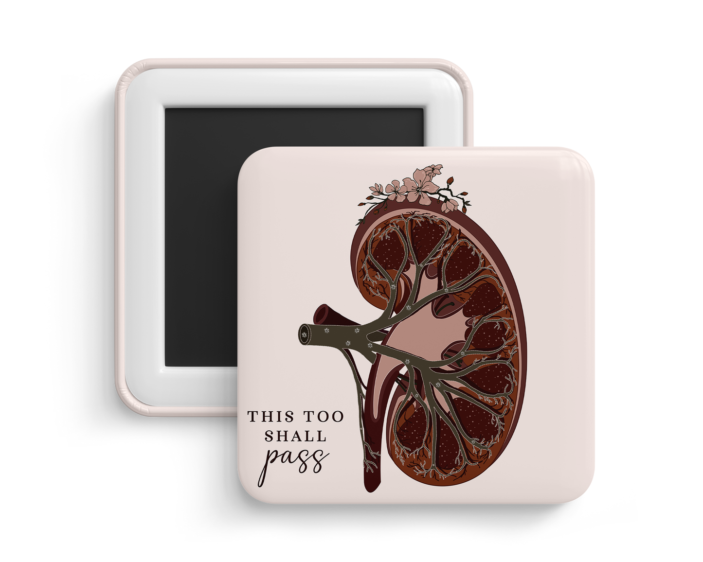 Fridge Magnet - Kidney Anatomy