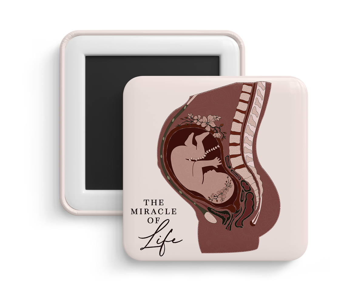 Fridge Magnet - Pregnancy Anatomy