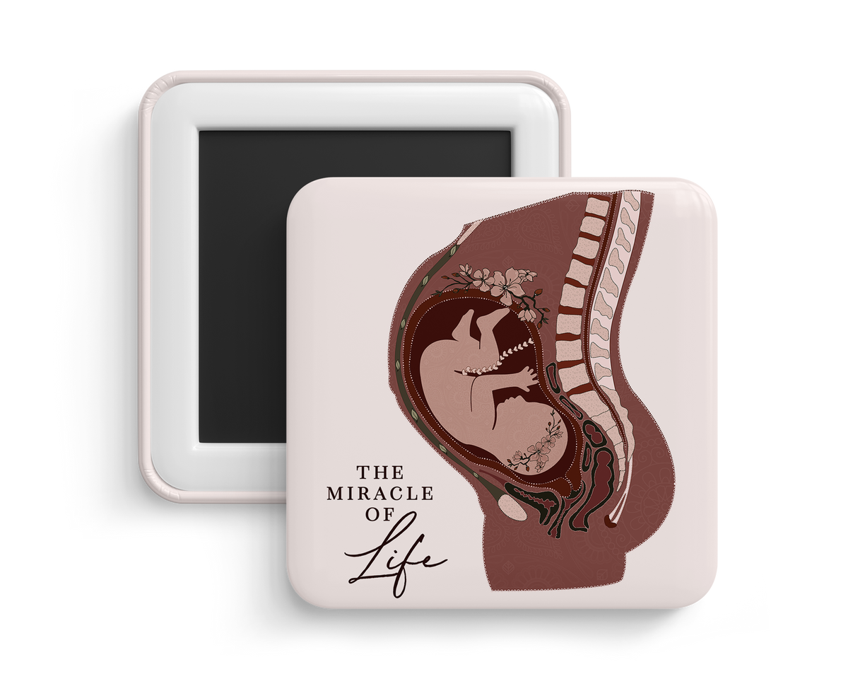 Fridge Magnet - Pregnancy Anatomy
