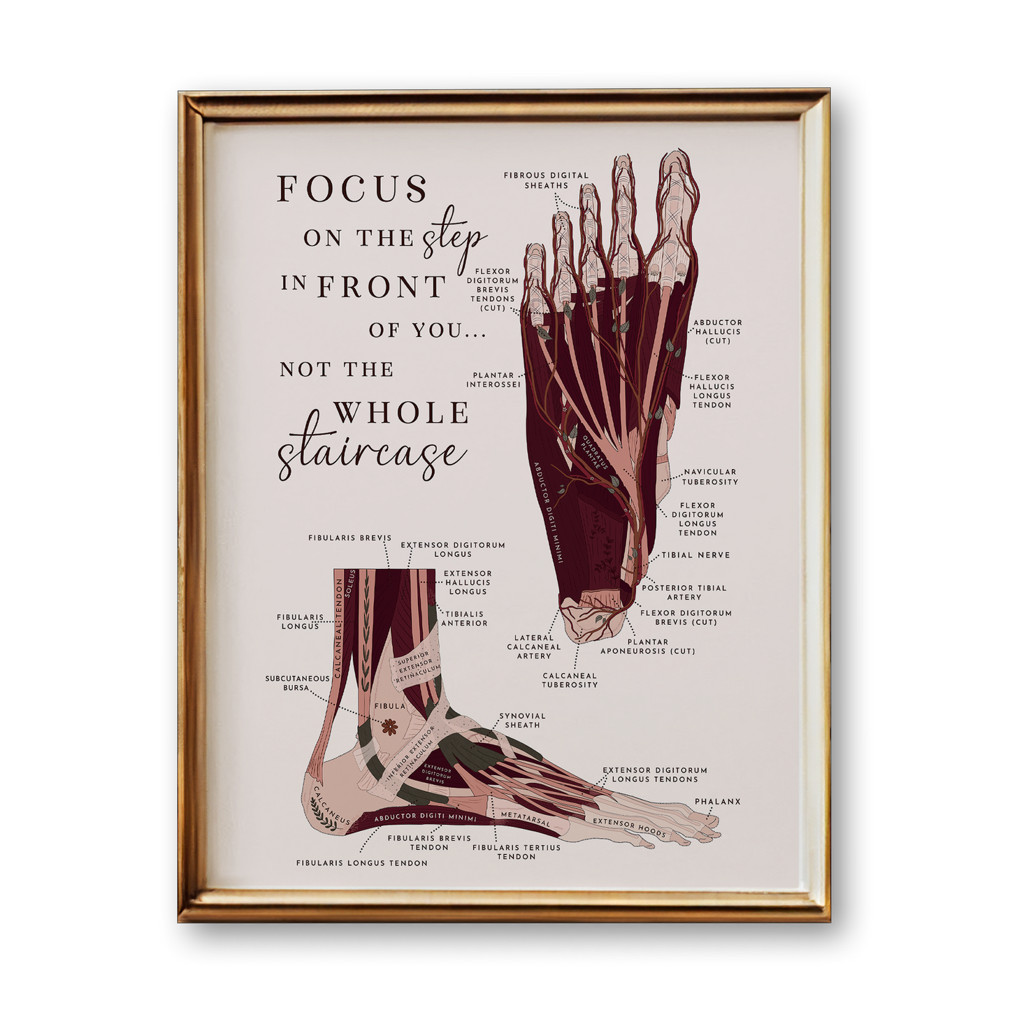 Foot Anatomy Art Print (Neutral Style)