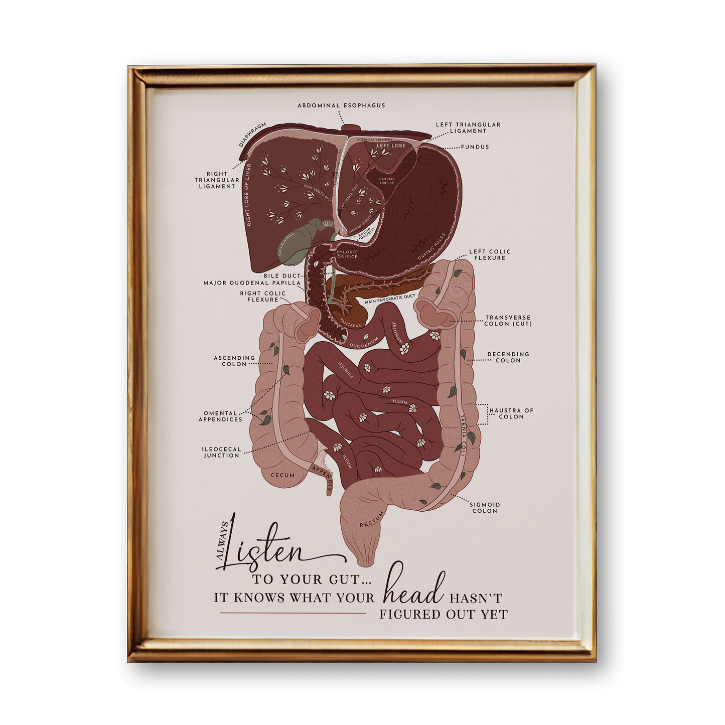 Digestive System Anatomy Art Print (Neutral Style)