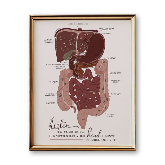 Digestive System Anatomy Art Print (Neutral Style)