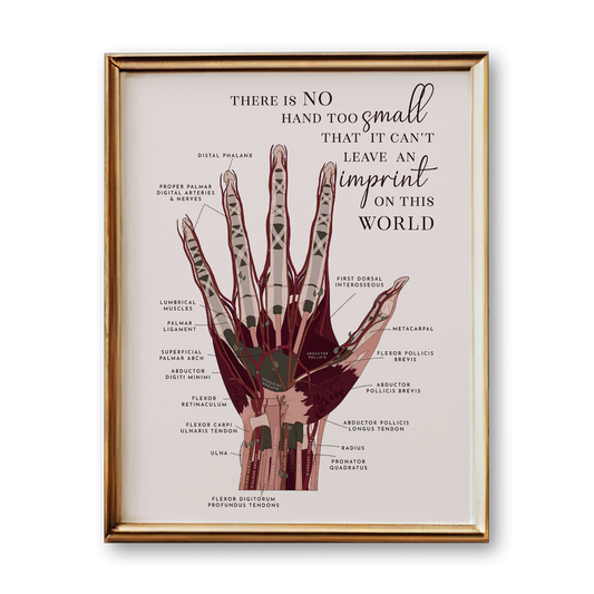 Hand Anatomy Art Print (Neutral Style)