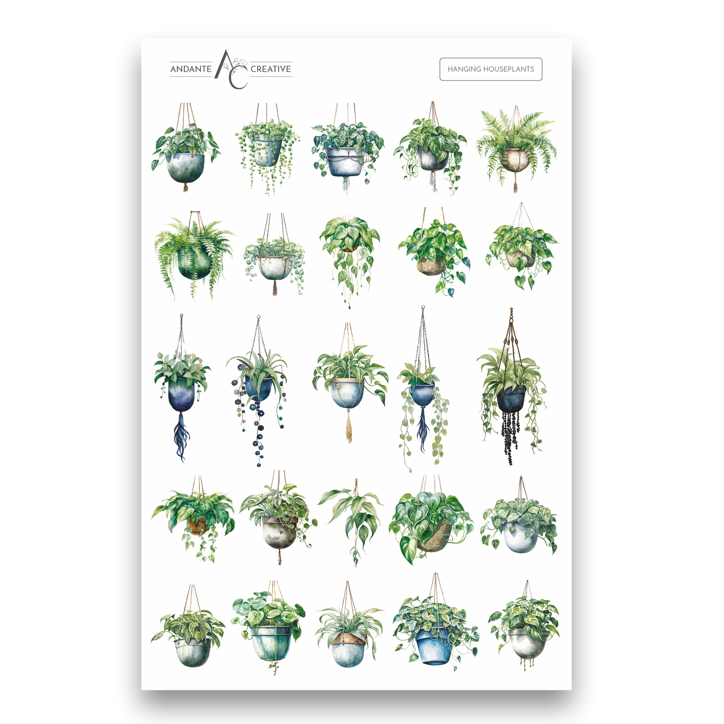 Hanging House Plants Floral Sticker Sheet