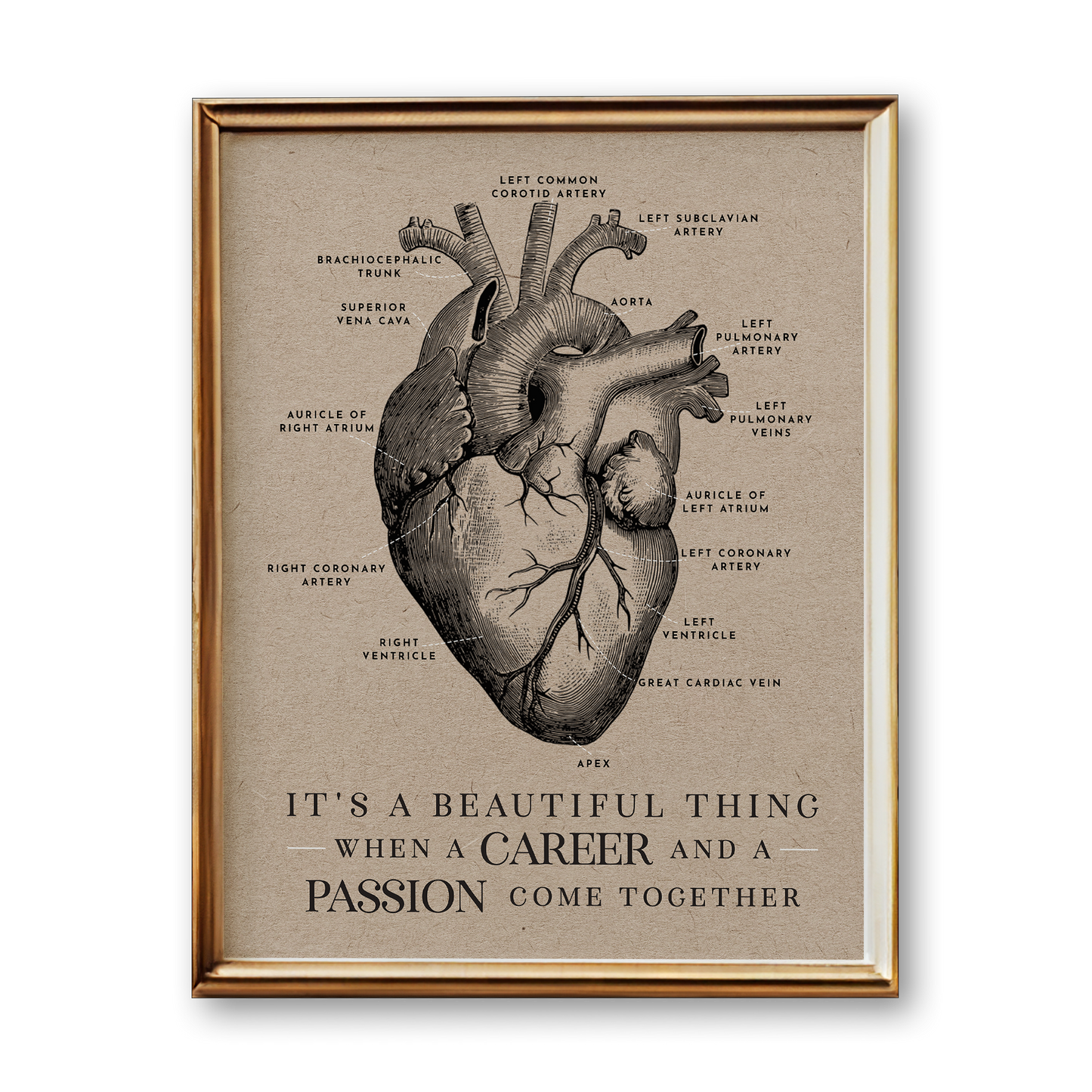 Heart Anatomy Art Print (Vintage Style)