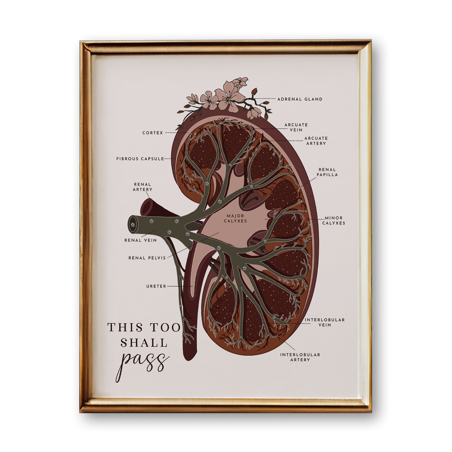 Kidney Anatomy Art Print (Neutral Style)
