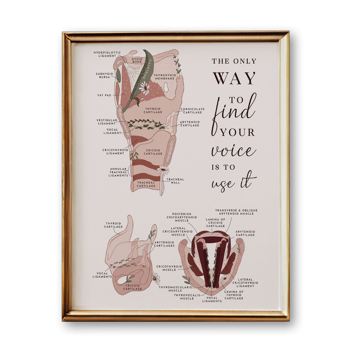 Larynx & Vocal Cord Anatomy Art Print (Neutral Style)