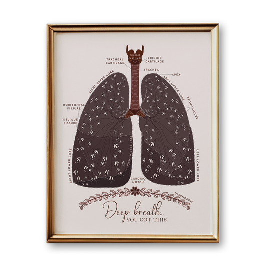 Lung Anatomy Art Print (Neutral Style)