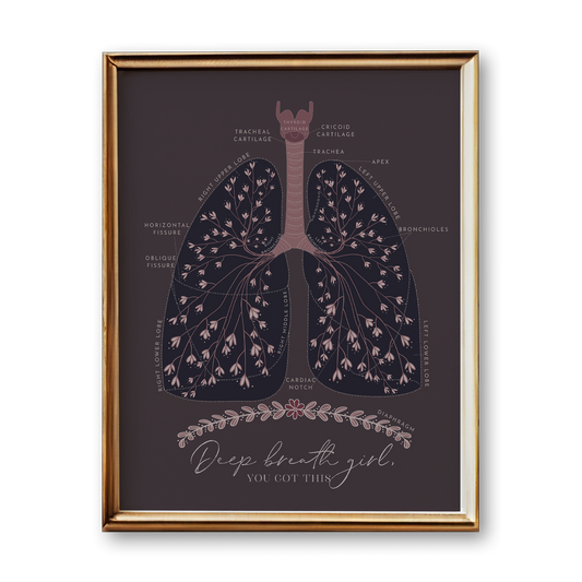 Lung Anatomy Art Print (Original Style)