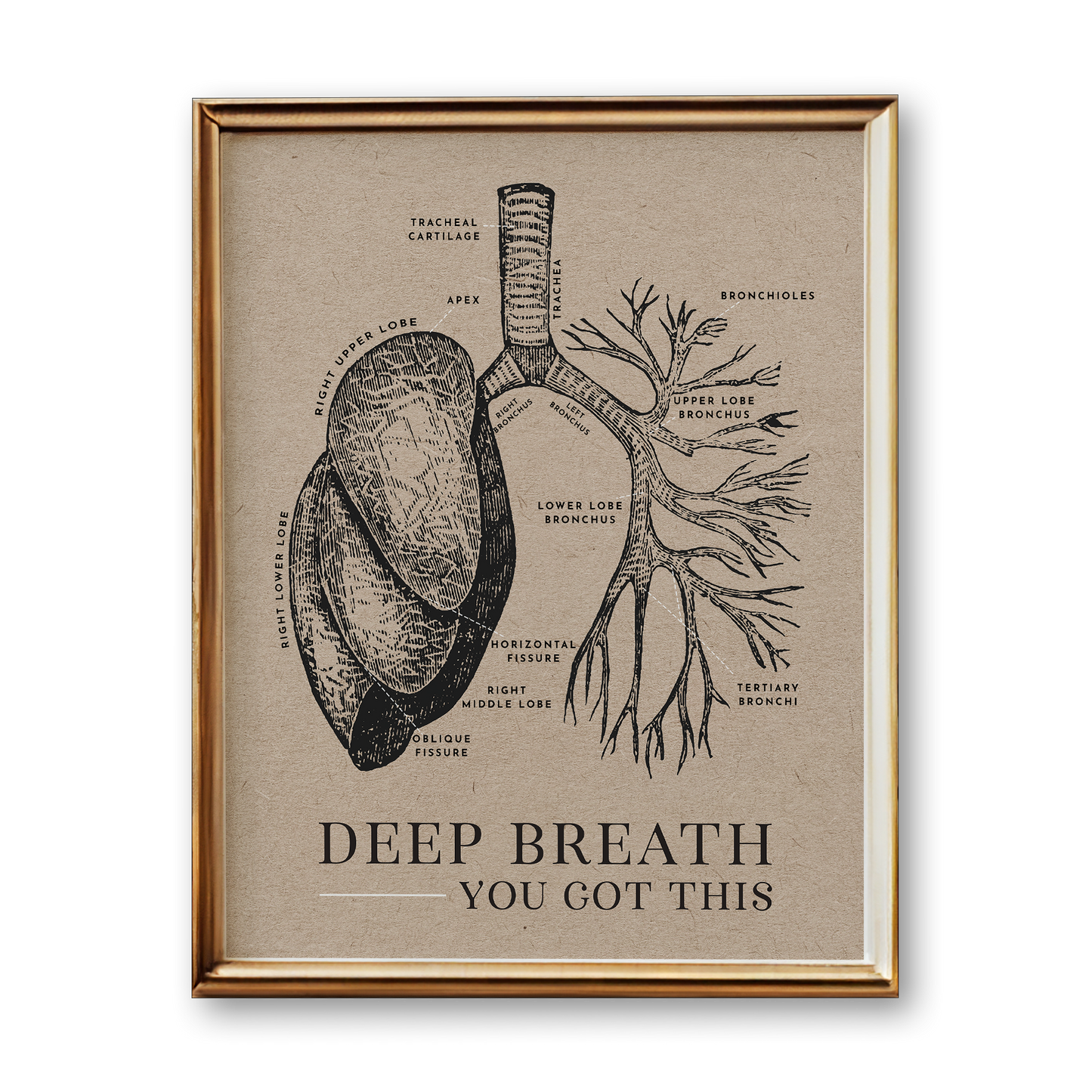 Lung Anatomy Art Print (Vintage Style)