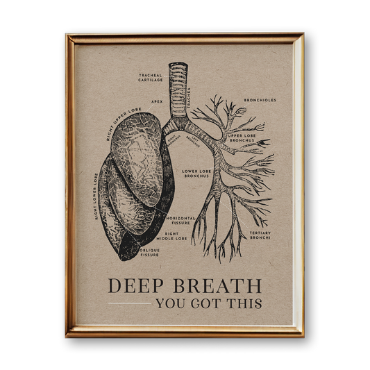 Lung Anatomy Art Print (Vintage Style)