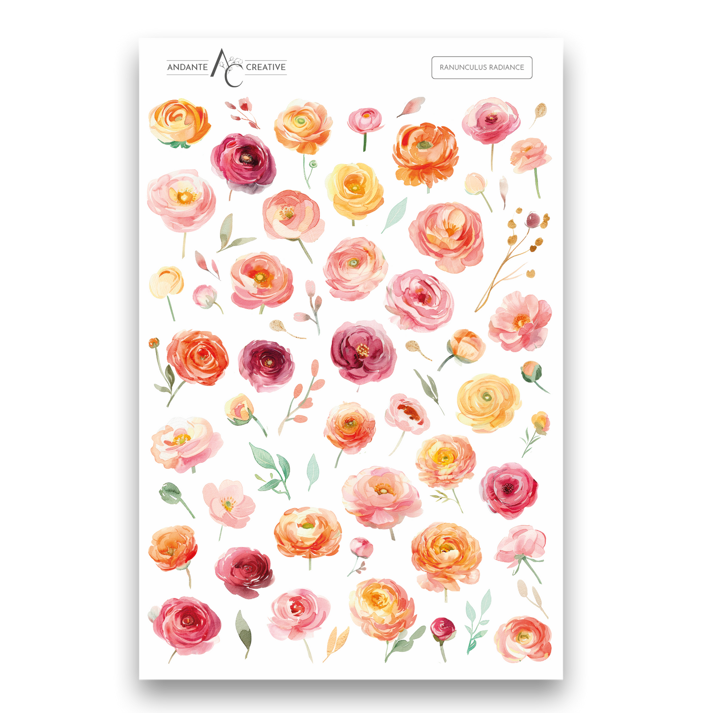 Ranunculus Radiance Floral Sticker Sheet