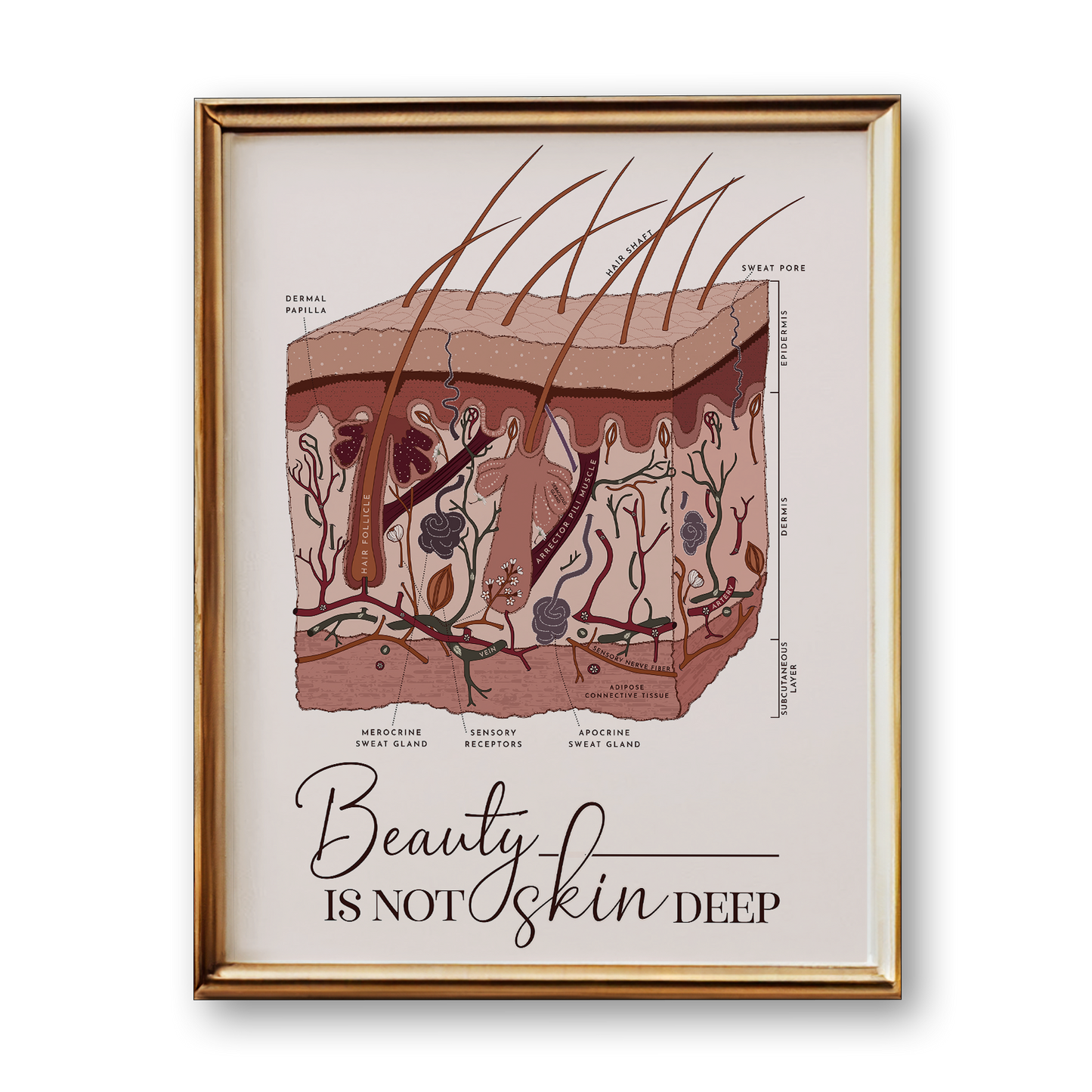 Framed poster of a skin cross-section diagram with 'Beauty is Not Skin Deep' text.