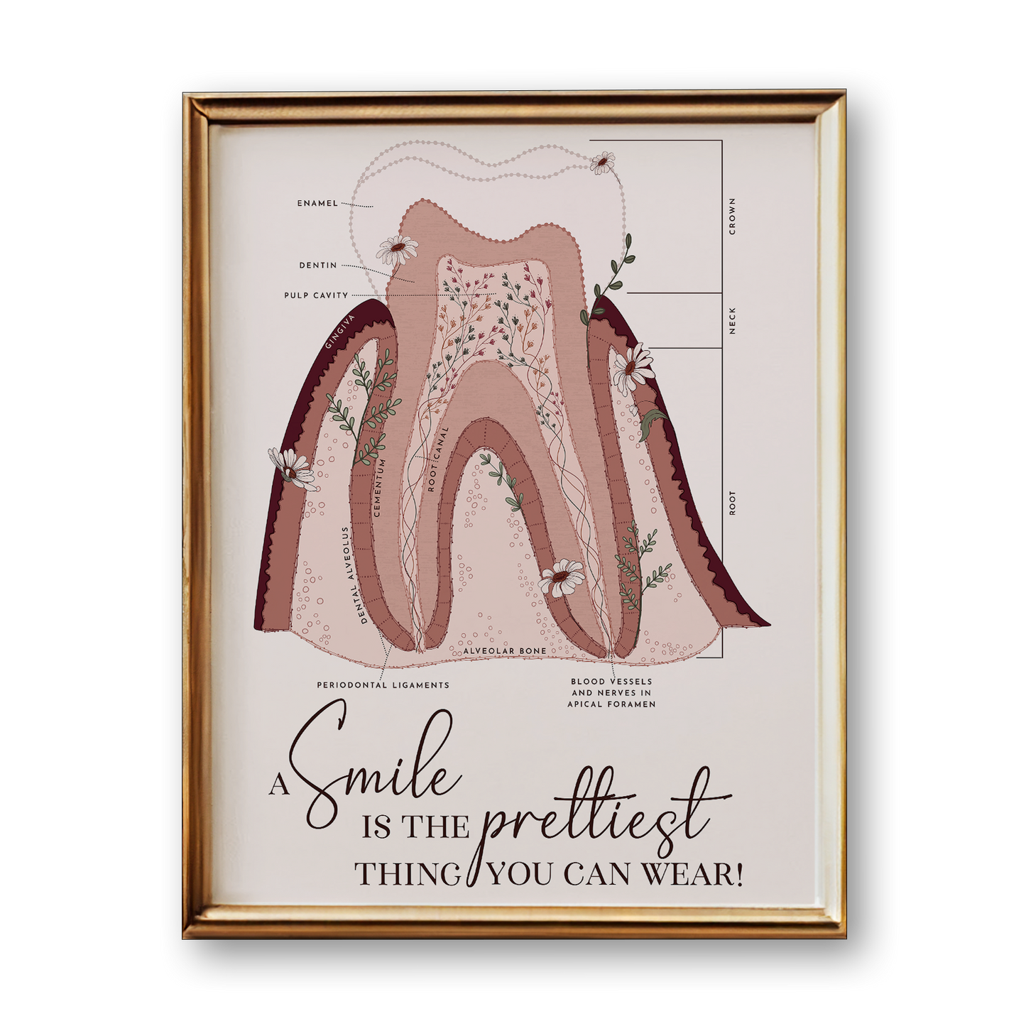 Tooth Anatomy Art Print (Neutral Style)