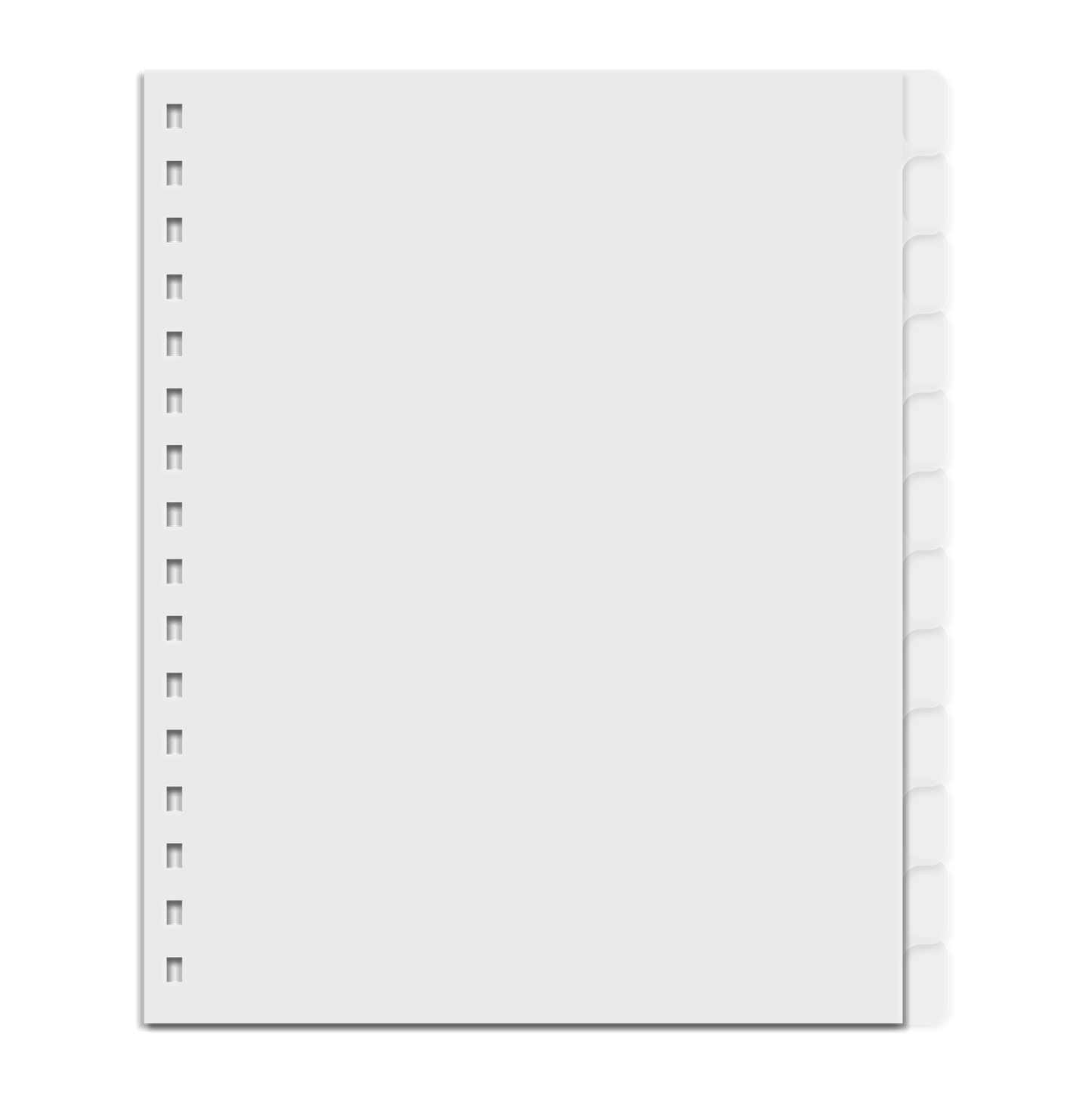 Dividers - 12 Tab Set (Punched - Wire binding)