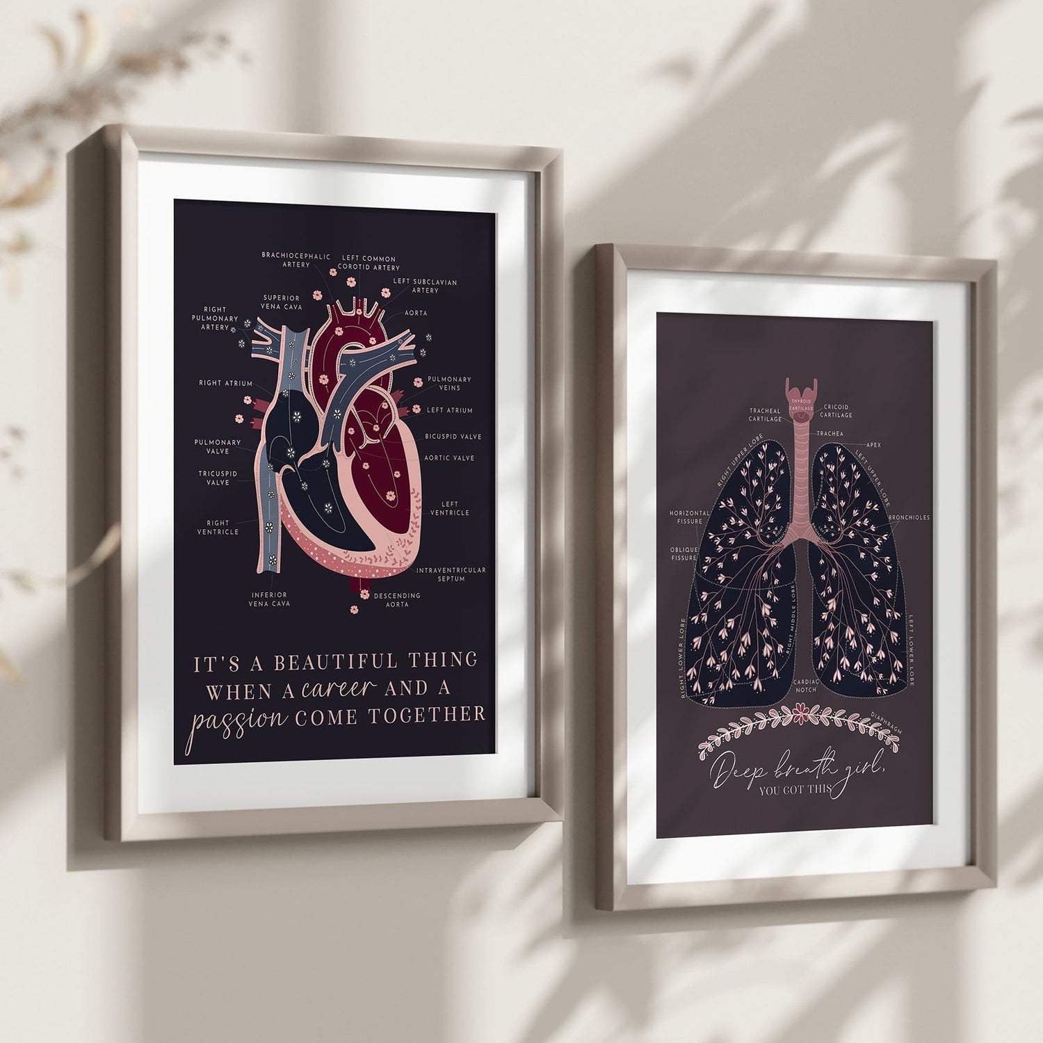 ANATOMY ART PRINTS