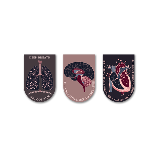 Anatomy Original - Bookmark Magnets