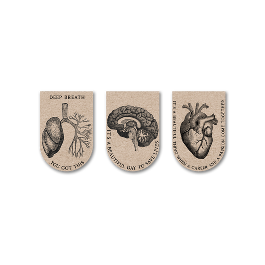 Anatomy Vintage - Bookmark Magnets