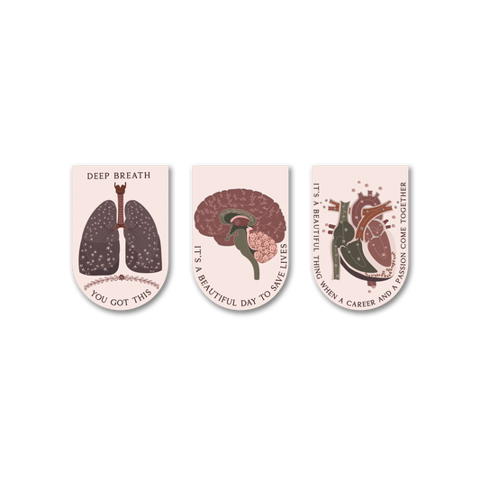 Anatomy Neutral - Bookmark Magnets