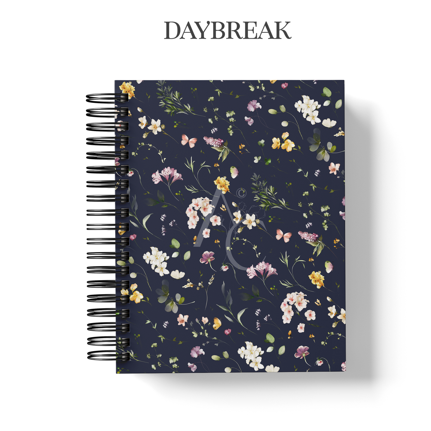 6-Month Planner Bundle (Custom Monthly, Weekly and Daily inserts)