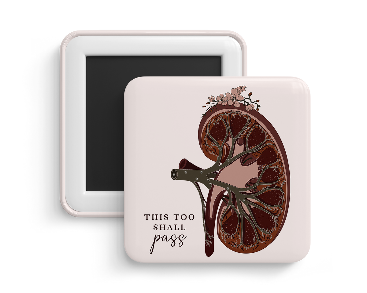 Fridge Magnet - Kidney Anatomy