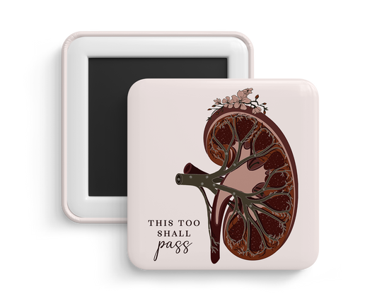 Fridge Magnet - Kidney Anatomy