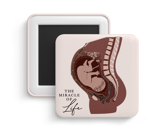 Fridge Magnet - Pregnancy Anatomy