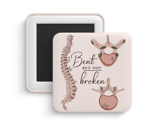 Fridge Magnet - Thoracic & Lumbar Spine Anatomy