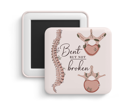 Fridge Magnet - Thoracic & Lumbar Spine Anatomy