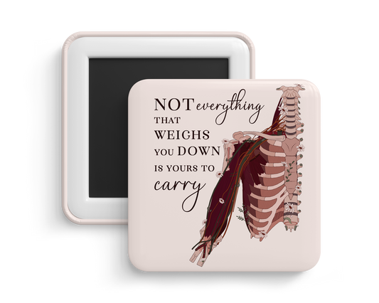Fridge Magnet - Upper Limb Anatomy